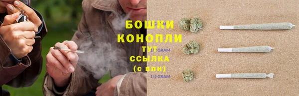 хмурый Балабаново