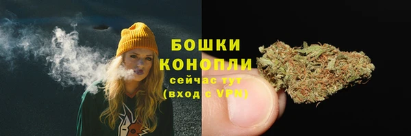 дмт Новодвинск