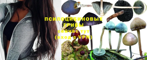 МДПВ Новокубанск