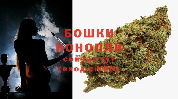 дмт Новодвинск
