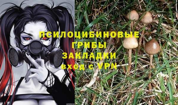 хмурый Балабаново