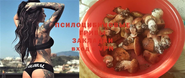 хмурый Балабаново
