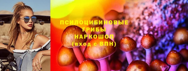 каннабис Новозыбков