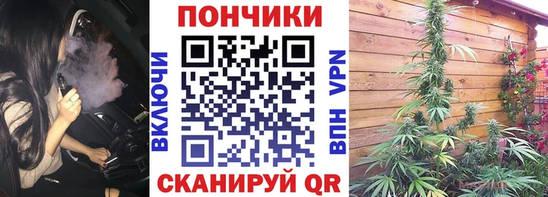 Бошки Шишки индика  где продают   OMG как зайти  Уяр 